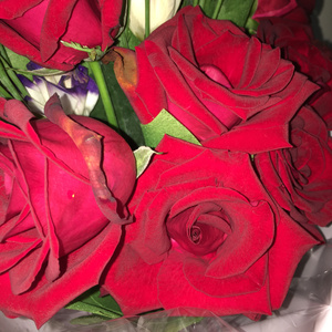 杏色av免费在线观看
